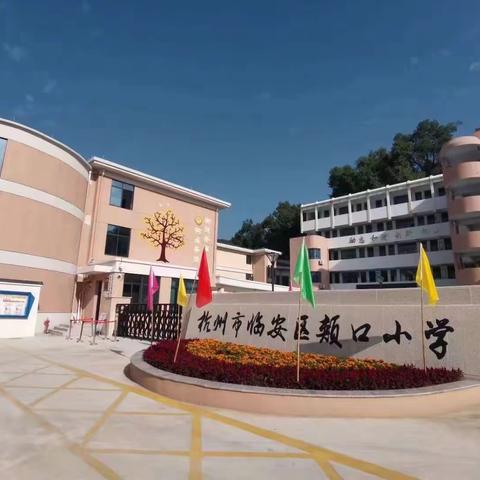 颊口小学|喜报连连，明天会更好