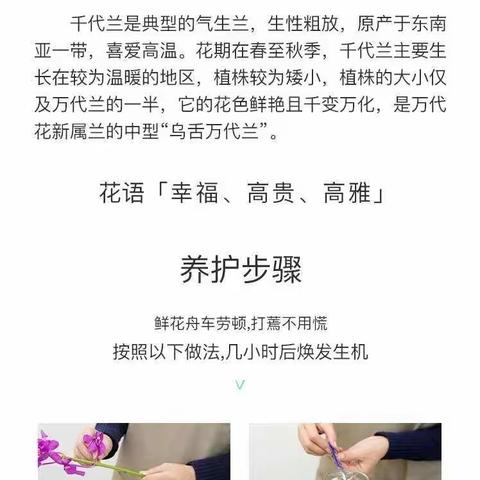 鲜花养护