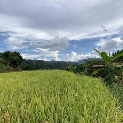 拉祜族音乐古寨—老达保