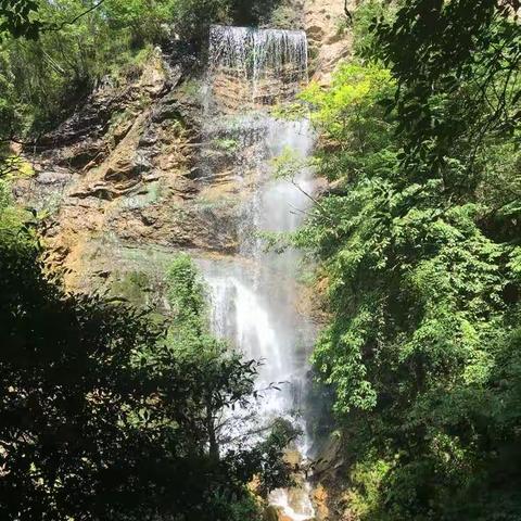 水，世间的精灵。