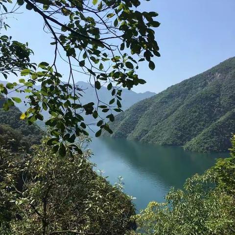 愿凉爽陪伴你左右，让幸福日夜紧相随