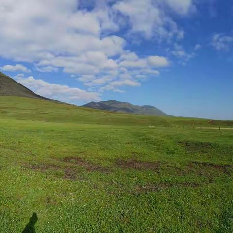 祁连山自驾游