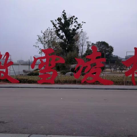 2018年春节龟山探梅公园