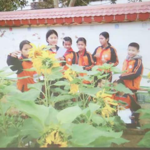 2018海口市暑期小学市级骨干研修班侧记（三）