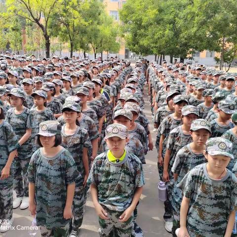 叶落无声的美篇