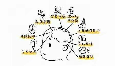 小级《数学思维》学期汇报