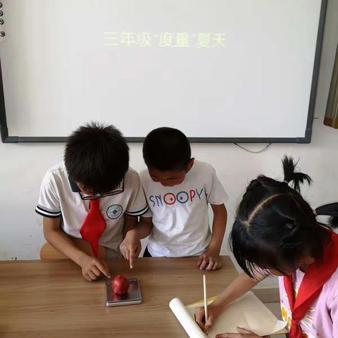 度量“夏天”