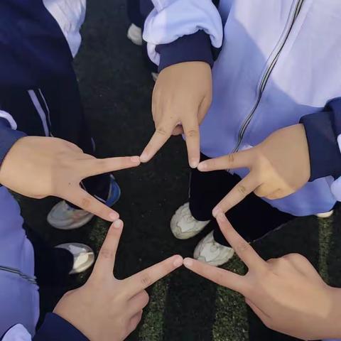 第四十三届运动会
