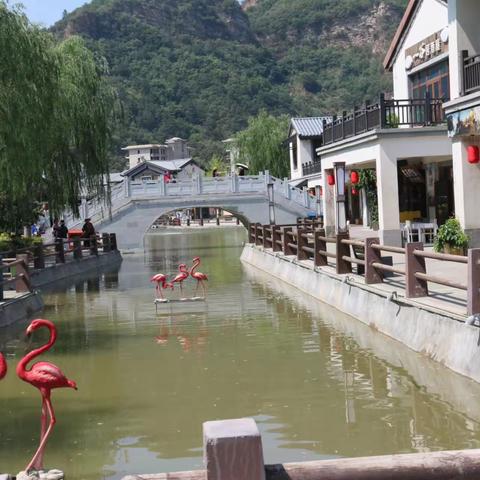2023年夏王永芳.王永波姐弟两家蓟州火凤凰农家院渡夏留念。