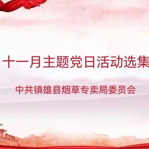 镇雄县局（分公司）2022年11月各党支部主题党日活动选集