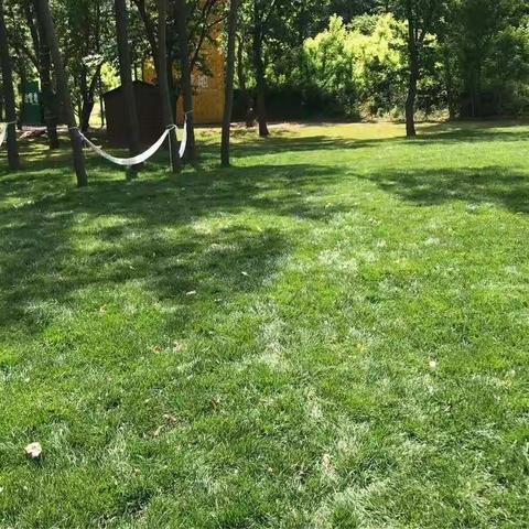 别样的六一，多彩的童年（第一季）