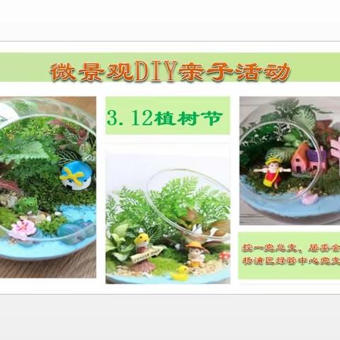 指尖春天 绿意盎然|控一社区开展植树节微景观DIY亲子活动