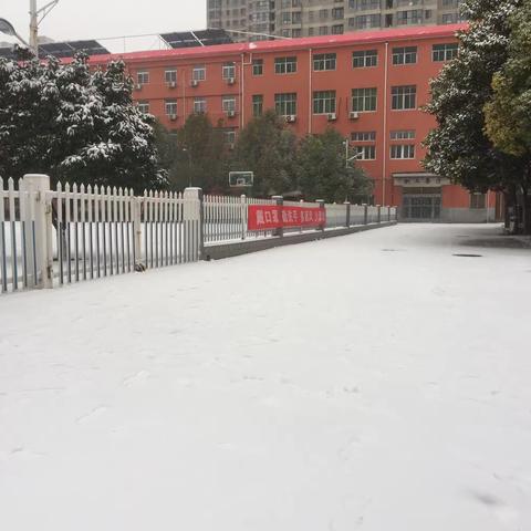 大雪无痕人有情——郑州集团公司调度所防疫保畅纪实