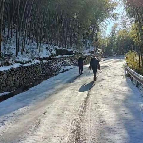 青梅踏雪