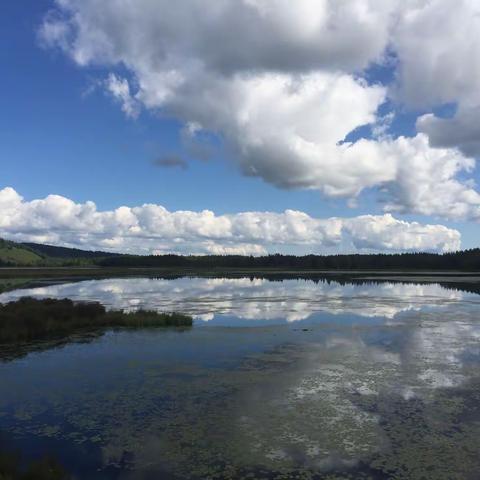 阿尔山国家森林公园火山口天池