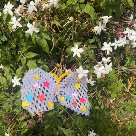 官渡区第一幼儿园魅力校区小一班：《蝴蝶🦋飞来了》