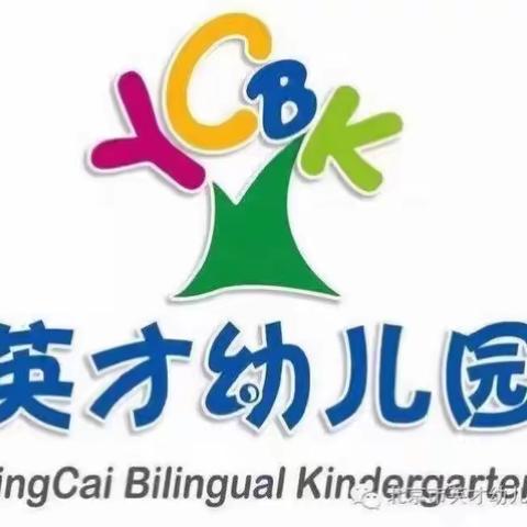 英才幼儿园中一班2022年11月第一周活动展示