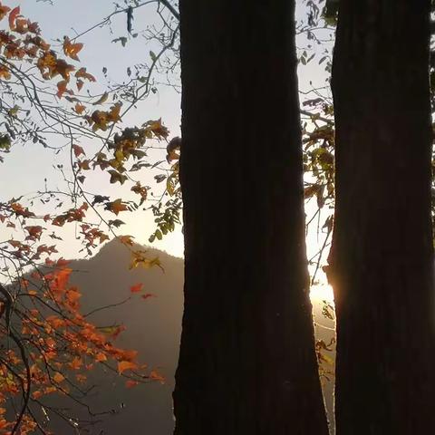 20211122-23杭州临安指南村及太湖源风景区