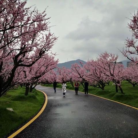 20210306湖州- -南浔（1）