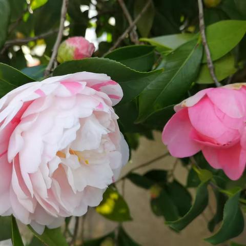 生活中的“趣味”- -