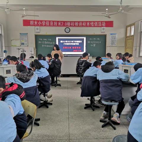 践行双减，科学提质—桐木小学科学实验操作能力期末考查