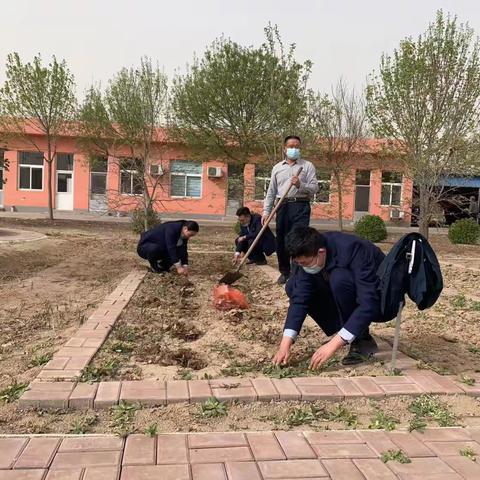 职工菜园暖人心——无棣农商银行大杨支行职工菜园成长记