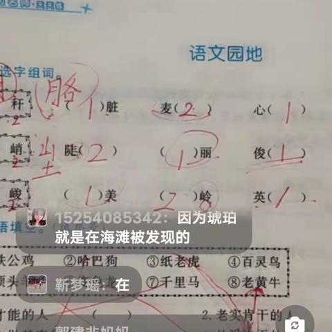 龙堌镇龙海社区小学线上教学精彩瞬间