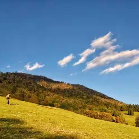 剑川老君山