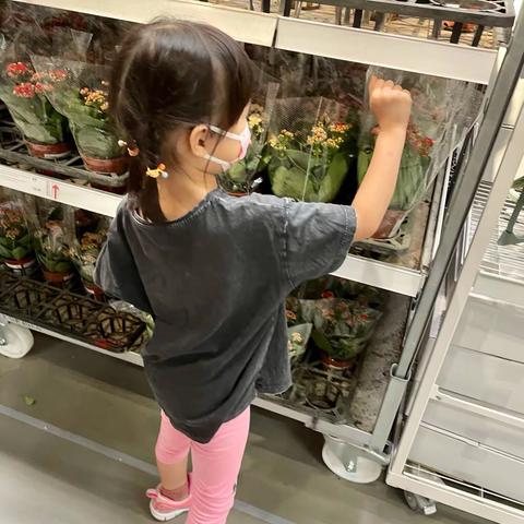 选点儿花花草草装饰我的幼儿园