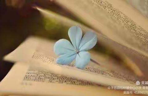 遇见阅读，遇见美好——读整本书活动3.2