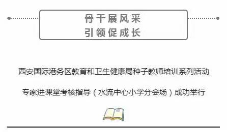 西安国际港务区教育和卫生健康局种子教师培训系列活动——专家进课堂考核指导（水流中心小学分会场）成功举行