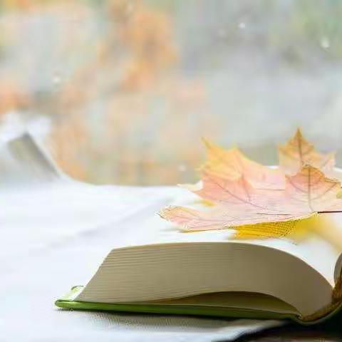 书本带我感受人间大爱——文苑小学三年级三班《爱的教育》线上读书交流活动纪实