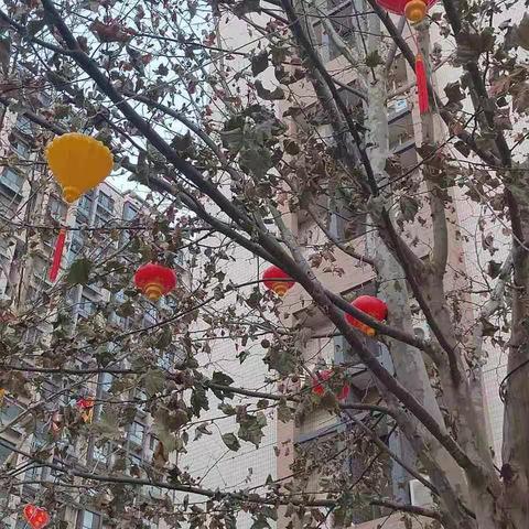 我和日记有个约会——文苑小学三年级三班寒假特色日记纪实（一）