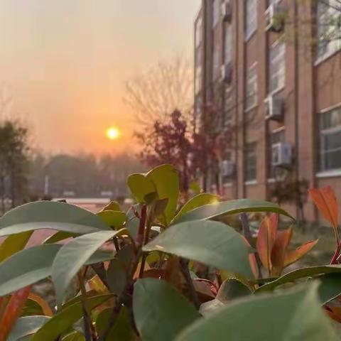 金牛奋蹄画锦绣 聚力耕耘谱新章——花园路小学召开2021年新学期全体教职工会议