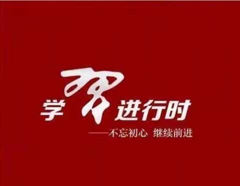 “剖析、反省、提升、成长”呼和镇幼儿园召开专题组织生活会和民主评议党员活动