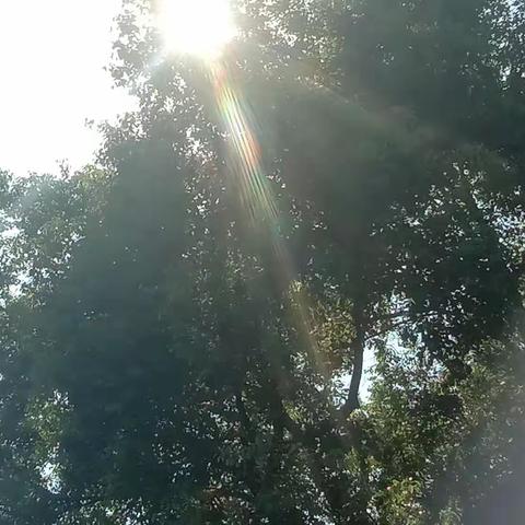 10月8日 艺术节