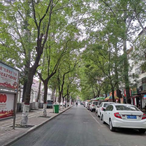 安全通道守护有我----记濮阳市实验小学二六班第二小组家长志愿者服务活动