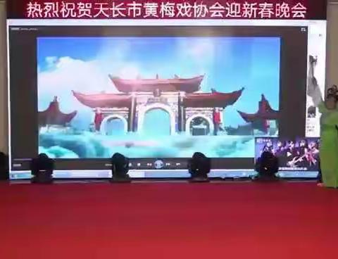 安徽省天长市黄梅戏协会迎新春联欢会