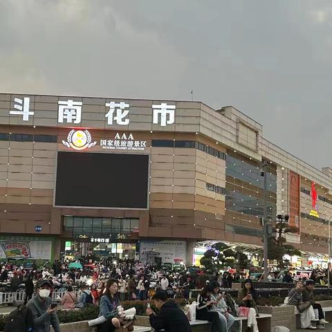 春日云南：昆明-普者黑-滇西游（2025.3.15-3.22）