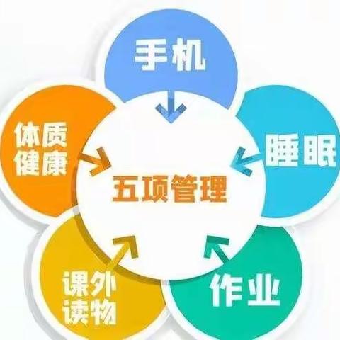 大石岭乡电站小学加强五项管理在路上