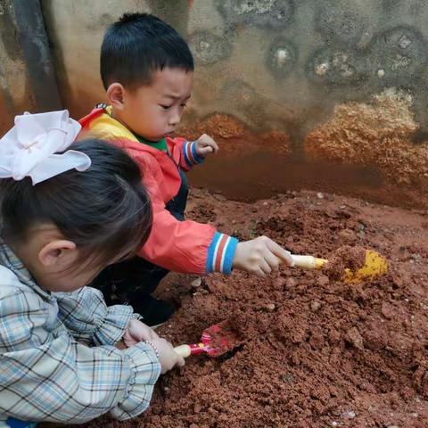 在生活中学，让自然来教