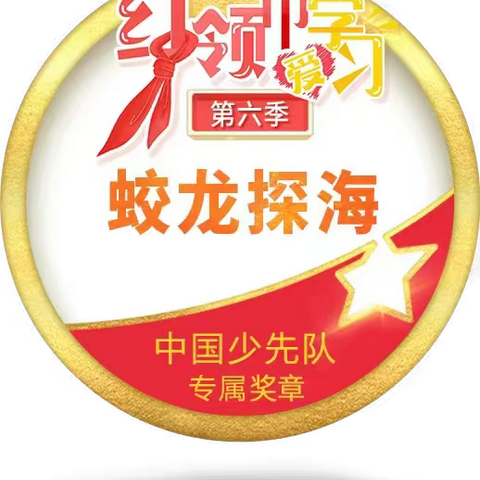 星光不问赶路人，时光不负有心人。硒都小学309班  刘梦琪