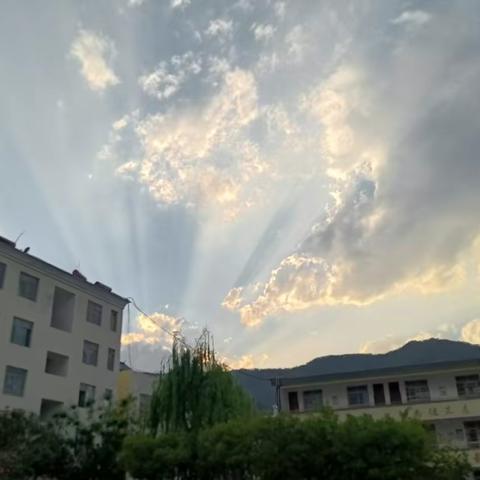 四下单元习作锦集