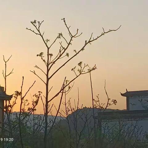 晓秋的美篇