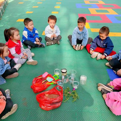 福田镇连陂小学附属幼儿园大二班种植篇——我和秋天有个约定