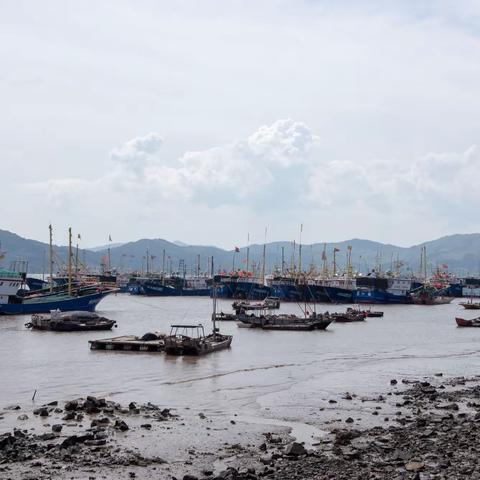 苍南168黄金海岸线自驾游 二