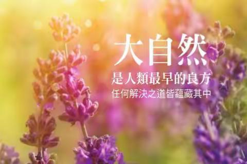 【蝉吟】人间芳菲四月天