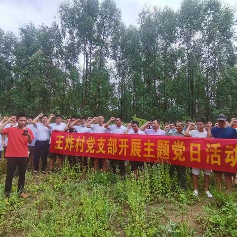 王炸村党支部开展“七一”主题党日活动