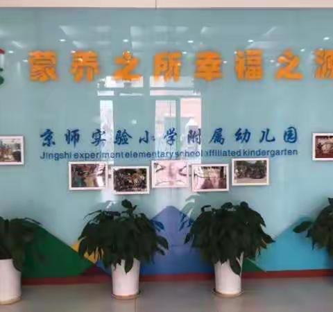 小小毕加索  ，丰富幼儿创美课程