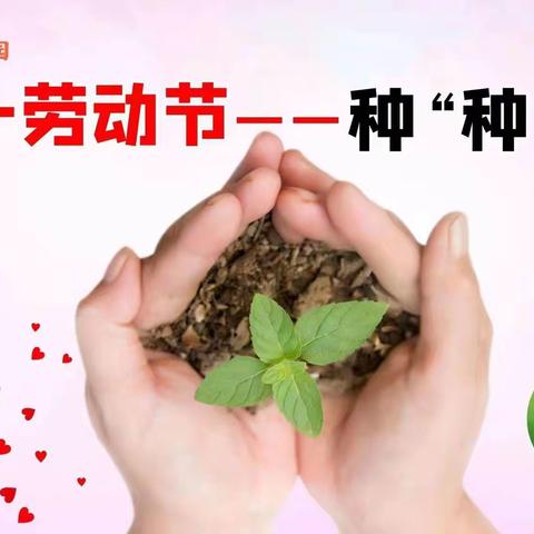 五一劳动节 种“种”子——育英幼儿园线上分享活动